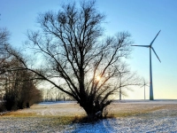 Sonne und Wind - gesehen bei Bettenfeld. (Foto: Heinz Schopf)