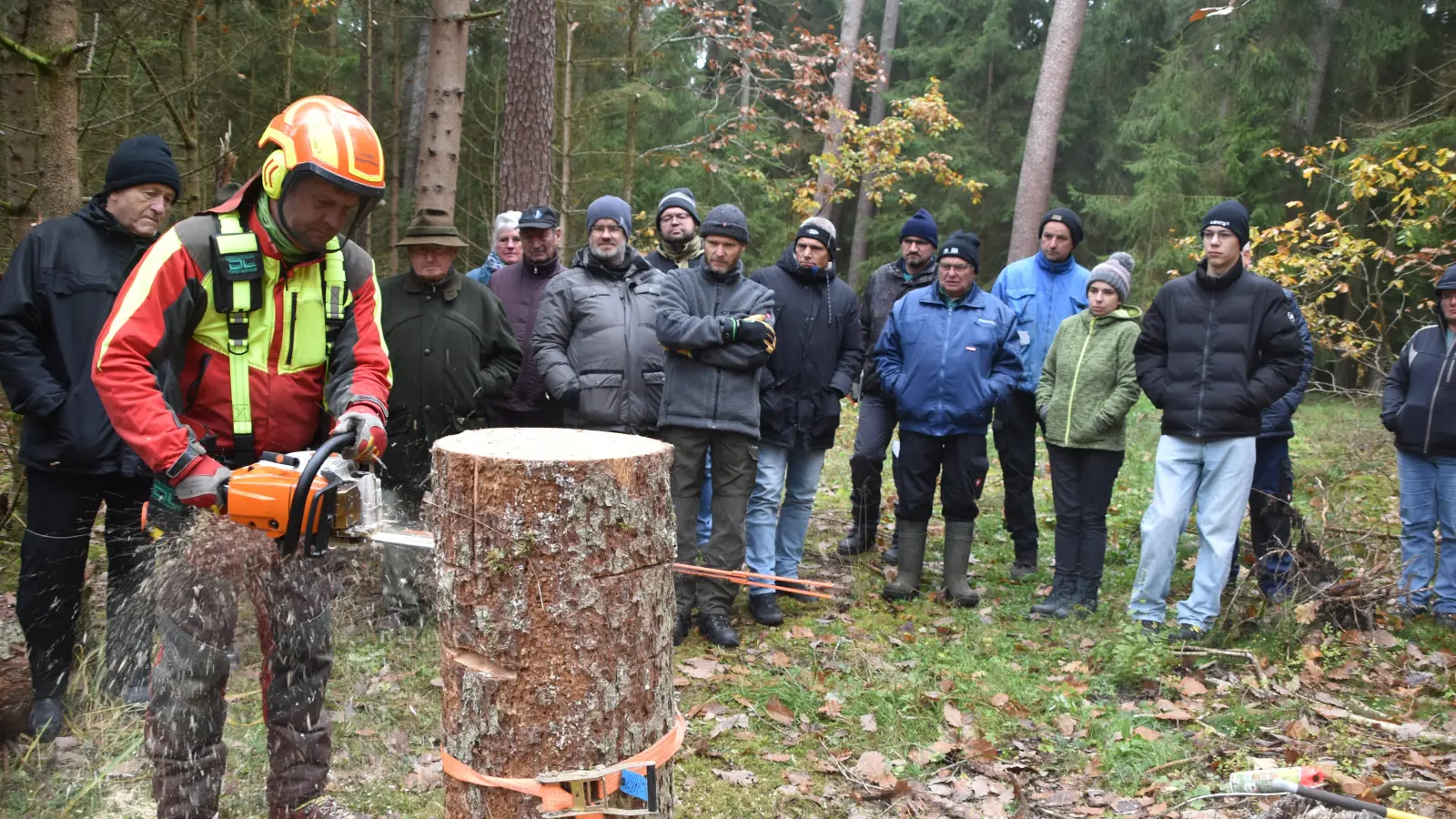Jürgen Bauernfeind demonstriert, wie bei einem Fällschnitt mit Fallkerb, Stechschnitt und der Anlage eines Haltebandes vorgegangen wird, damit ein zu fällender Baum auch in die gewünschte Richtung fällt. (Foto: Fritz Arnold)