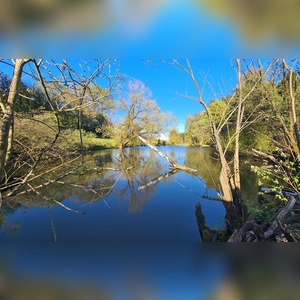 Echte Frühlingstage - gesehen bei Prühl (Foto: Uschi Wendel)
