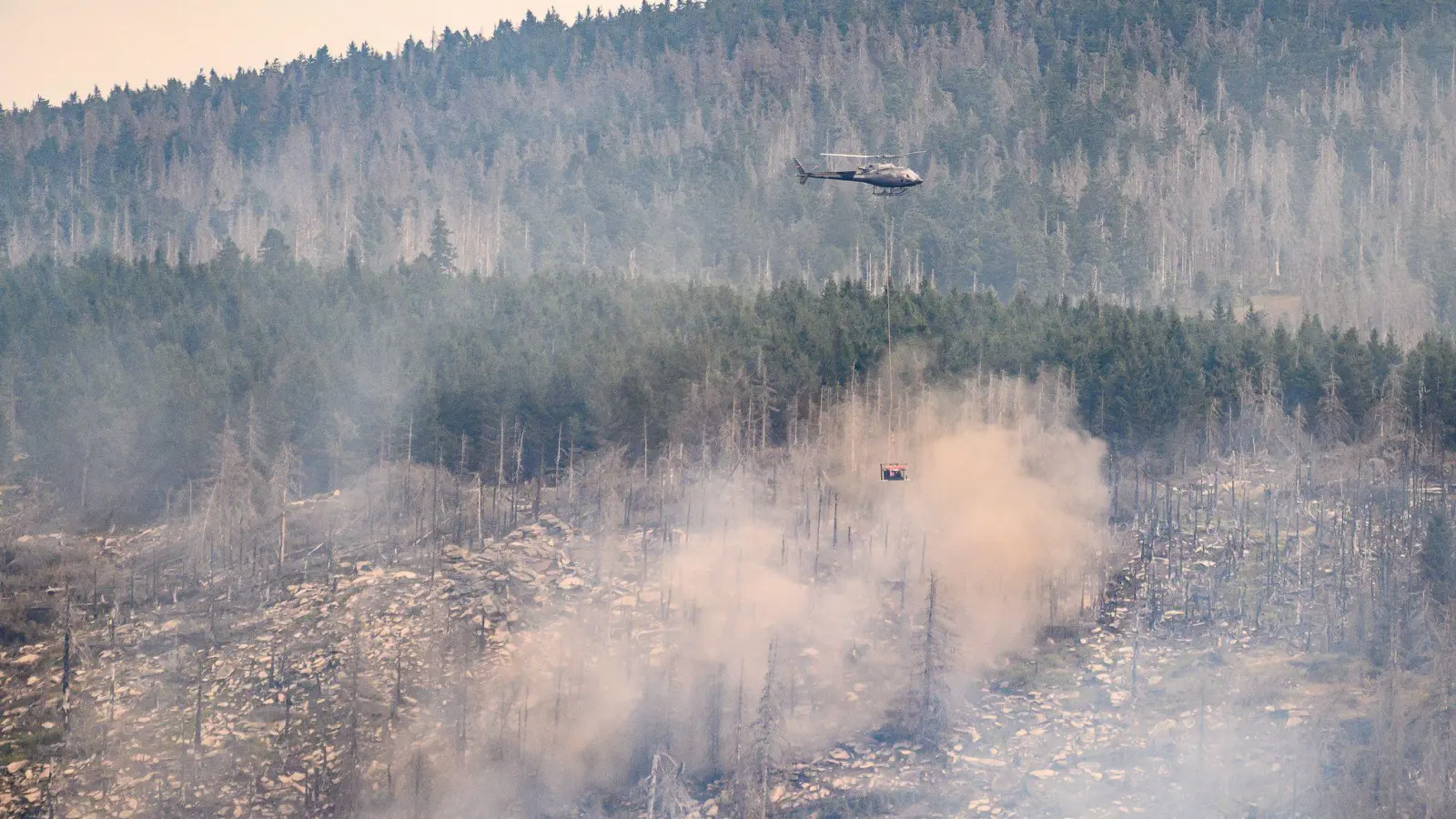 Brandstiftung ist laut Experten nicht ausgeschlossen. (Foto: Swen Pförtner/dpa)