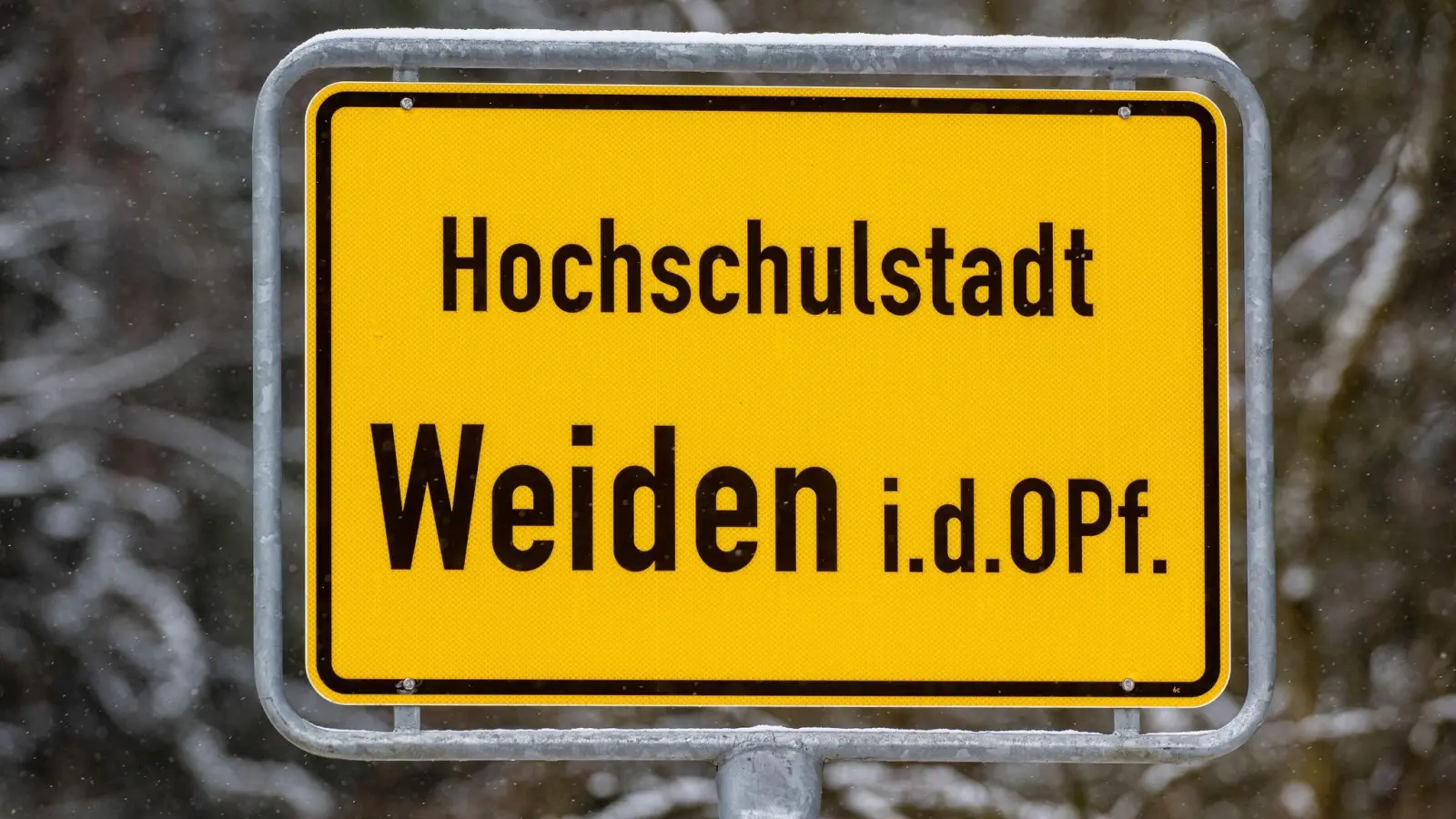 In Weiden in der Oberpfalz gibt es einen Wechsel im Rathaus. (Symbolbild) (Foto: Armin Weigel/dpa)