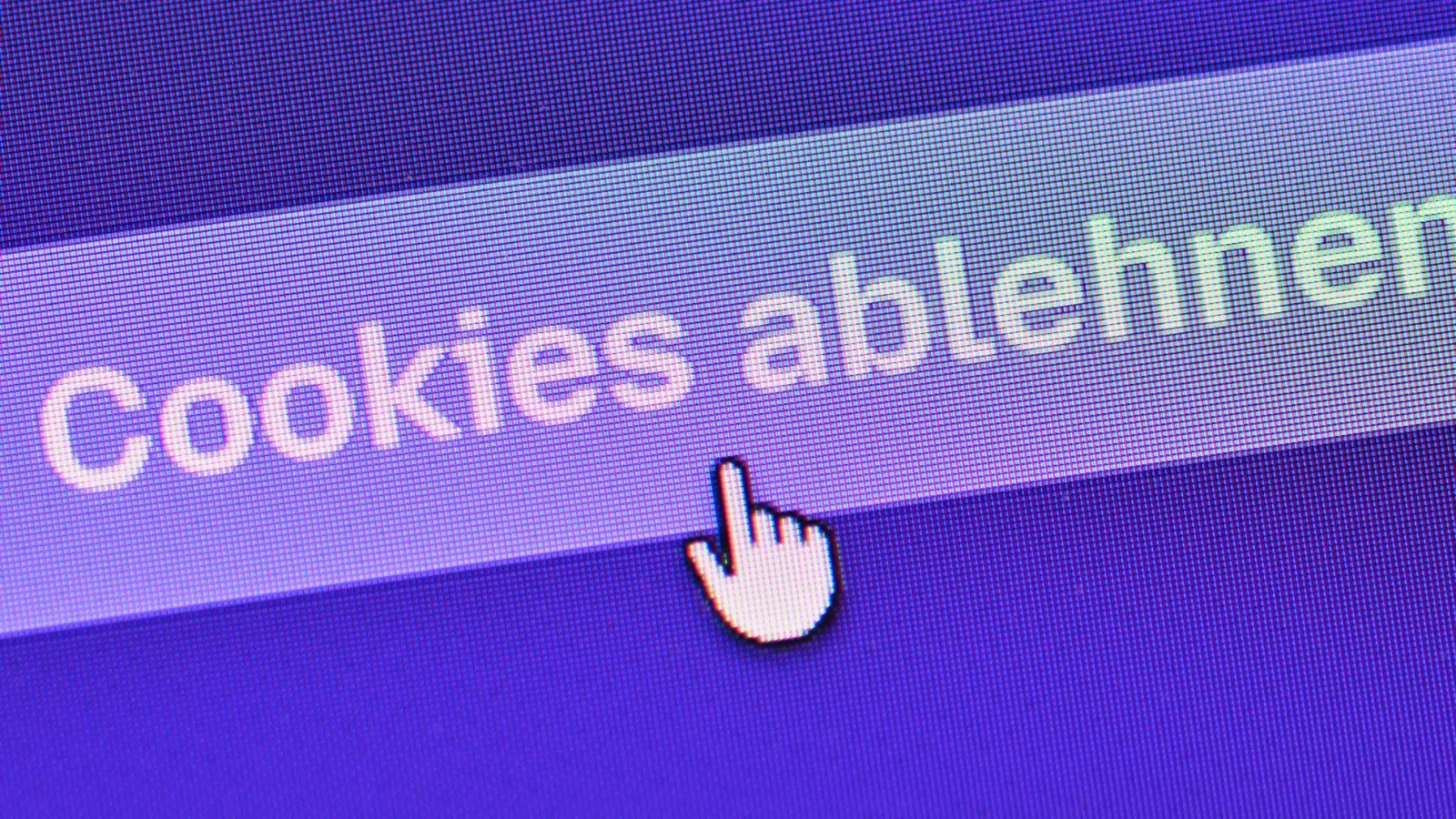 Verbraucherschützer fordern, die Cookie-Abfrage neu zu gestalten. (Symbolbild)  (Foto: Patrick Pleul/dpa)
