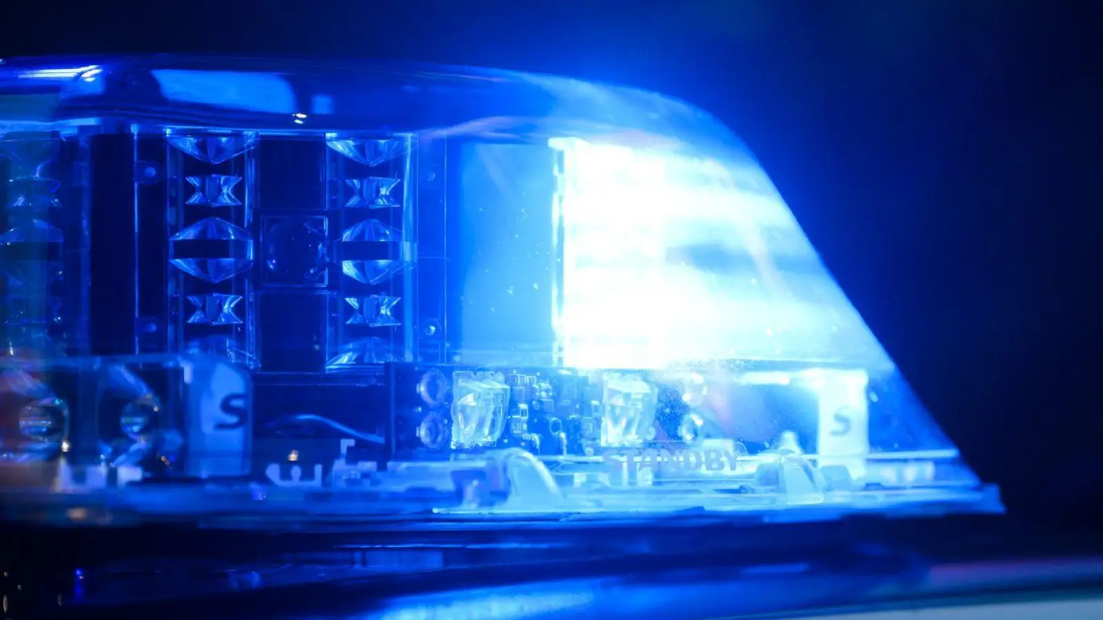 Der Hundebesitzer flüchtete, die Polizei nahm die Fahndung auf. (Symbolbild) (Foto: Julian Stratenschulte/dpa)