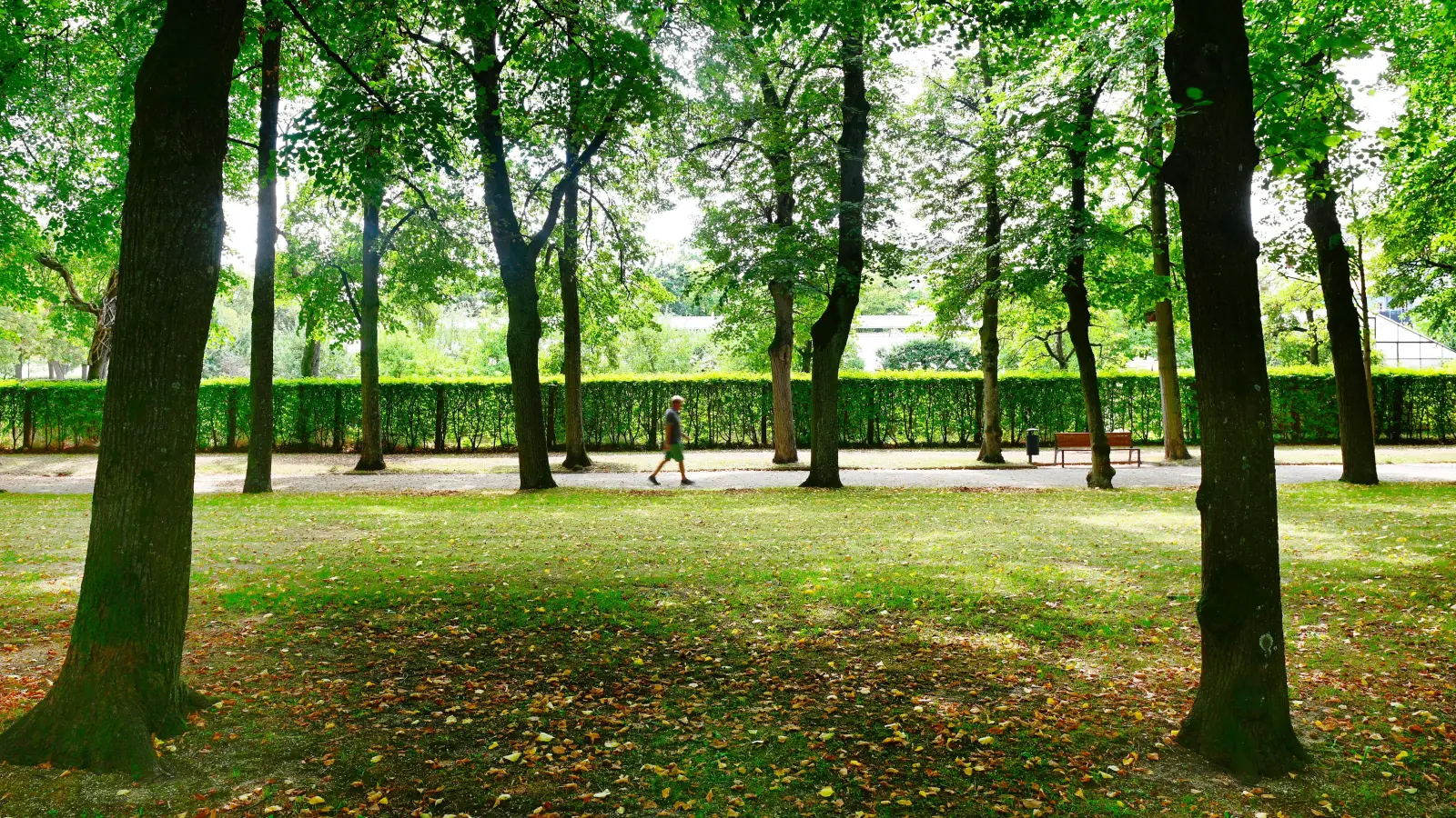 Die Regeln des Ansbacher Hofgartens besagen, dass Sport dort nicht erlaubt ist. Einzelne Personen, die joggen, werden aber toleriert. (Archivbild: Jim Albright)