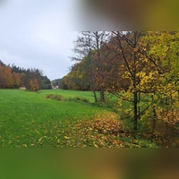Auf einer Länge von rund 460 Metern soll die Aurach in der Nähe der Jakobsruh bei Wollersdorf renaturiert werden. Teil des Projektes ist ein Wasserwanderweg. (Foto: Florian Schwab)
