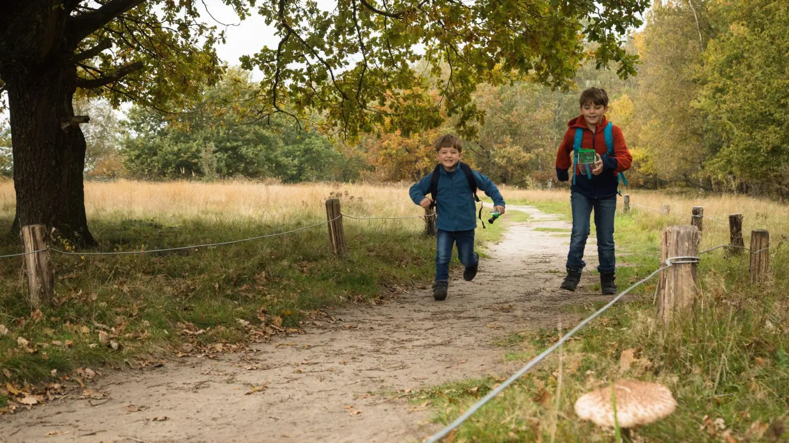 Eine gleiche Wellenlänge ist die Basis für Kinderfreundschaften. Die Kinder schauen sich genau ab, wie Eltern Freundschaften vorleben und übernehmen das. (Foto: Christin Klose/dpa-tmn)