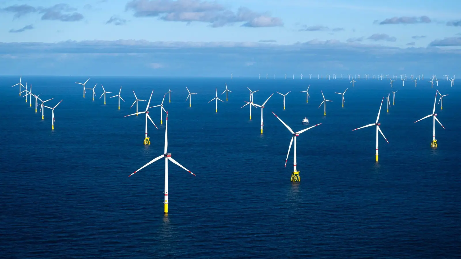 Ein Offshore-Windpark (Illustration) (Foto: Sina Schuldt/dpa)