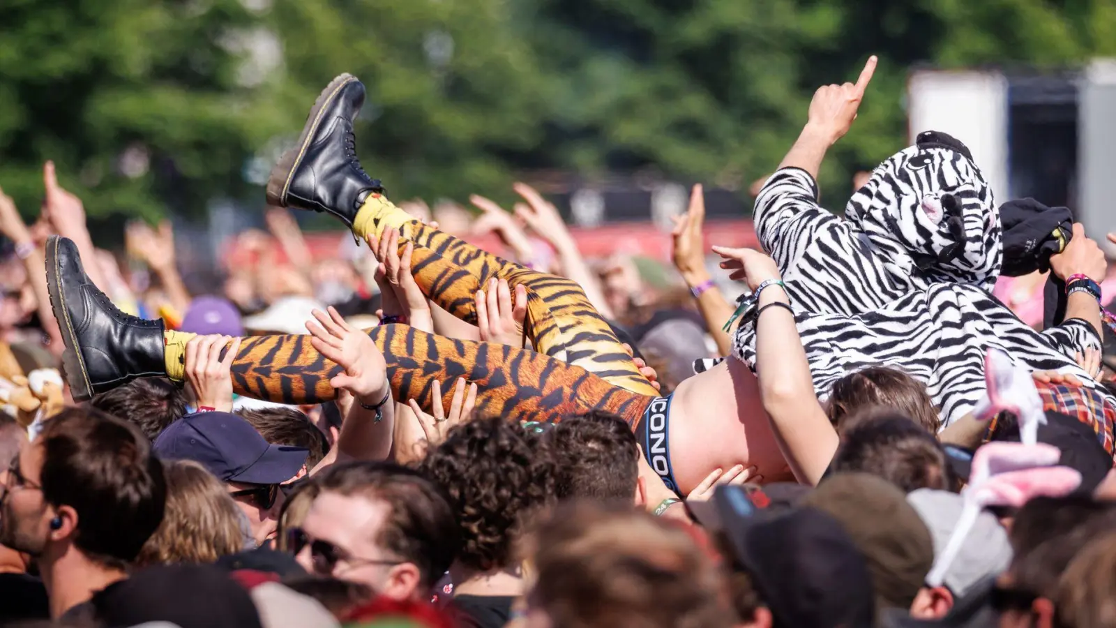 Mit 88.500 Musikfans auf dem Gelände soll Rock im Park in diesem Jahr noch mal deutlich größer werden. (Archivbild) (Foto: Daniel Karmann/dpa)