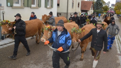 Der Almabtrieb in Gailroth ist jedes Jahr ein Besuchsmagnet mit Volksfestcharakter. (Foto: Peter Tippl)